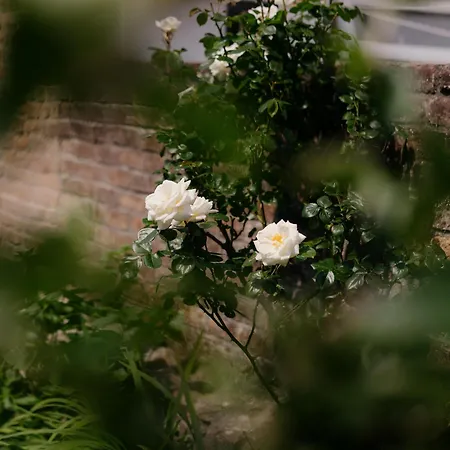 Enchanted Rose Garden House *